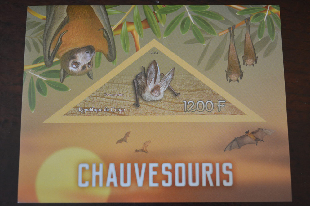 Конго. Фауна. Личности. Блок. 2014 р. (А-34) Полтава - фото 1