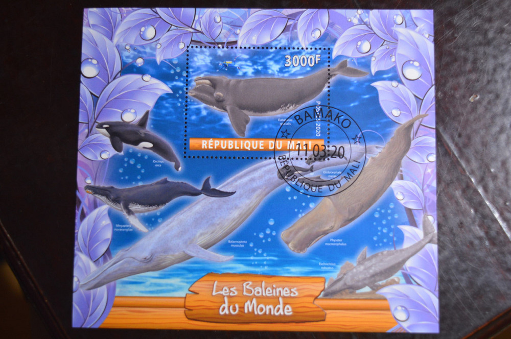 Малі. Марки. Фауна. Блок. 2020 рік (В-1) Полтава - фото 1