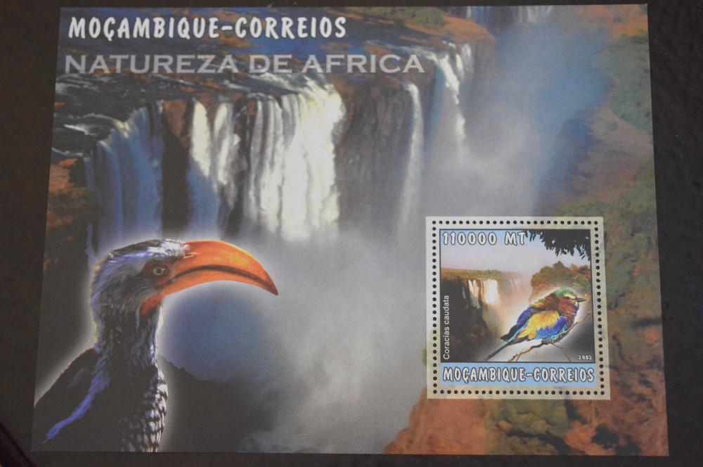 Мозамбик. Фауна. Блок. 2015 год (В-7) Полтава - изображение 1