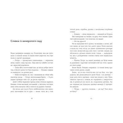 Книга Небесна парасоля - Ірина Савка Видавництво Старого Лева (9789664484395) Вінниця