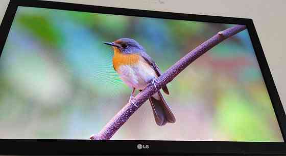 Монитор: 21.5