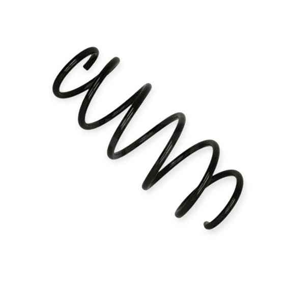 Пружина Opel Astra H 1.9CDTI 04- передняя Мукачево