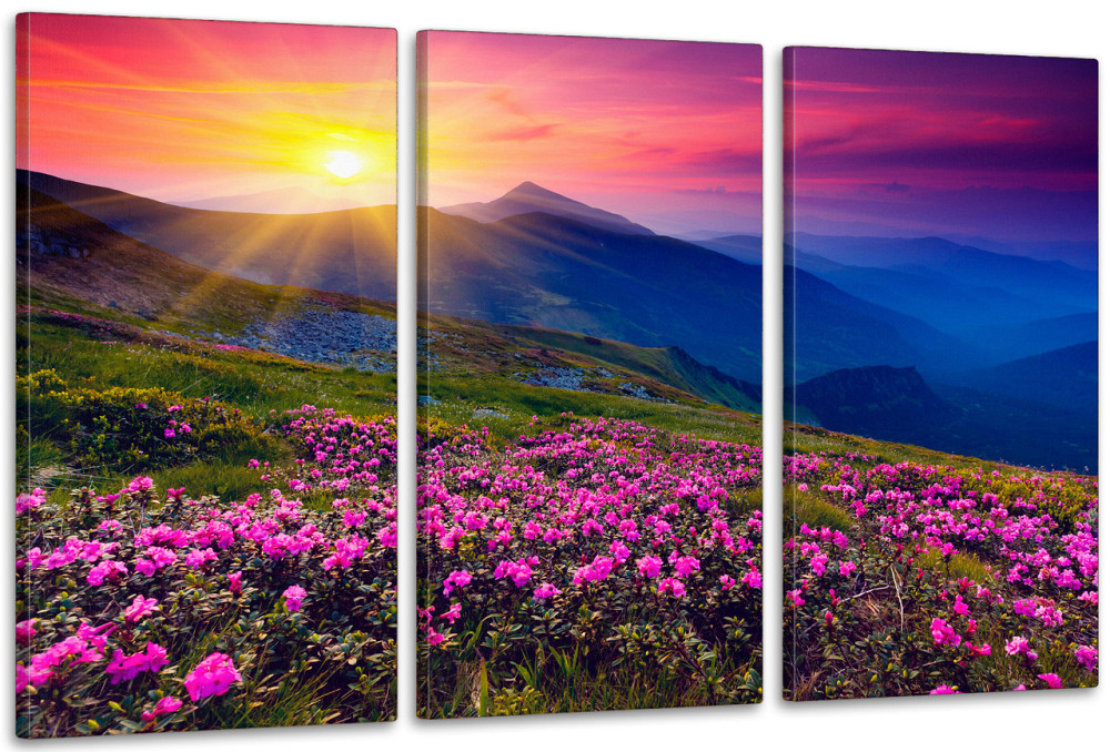 Модульная картина в гостиную / спальню  Гірський захід сонця      ART-288_3A 70х130 см Київ - фото 1