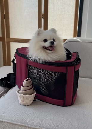 Сумка-переноска для котів і собак Happy Peppy (Хеппі Пеппі) Luna Bag Овал Бордовий Запоріжжя