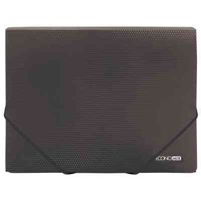 Папка на резинках Economix А4 фактура "оранж", черная (E31601-51) Винница