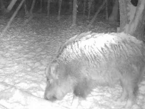 Vision Binoculars ОПТ ДРОП Київ