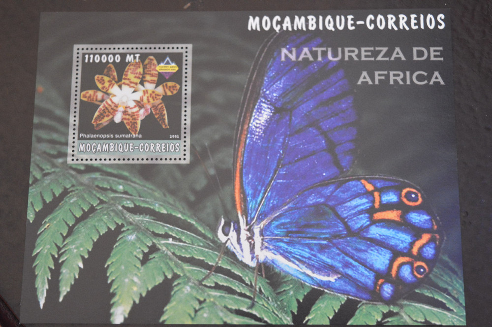 Мозамбик. Фауна. Блок. 2015 год (В-7) Полтава - изображение 1