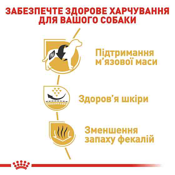 Корм для взрослых собак породы Французский бульдог ROYAL CANIN FRENCH BULLDOG ADULT 3.0 кг Киев