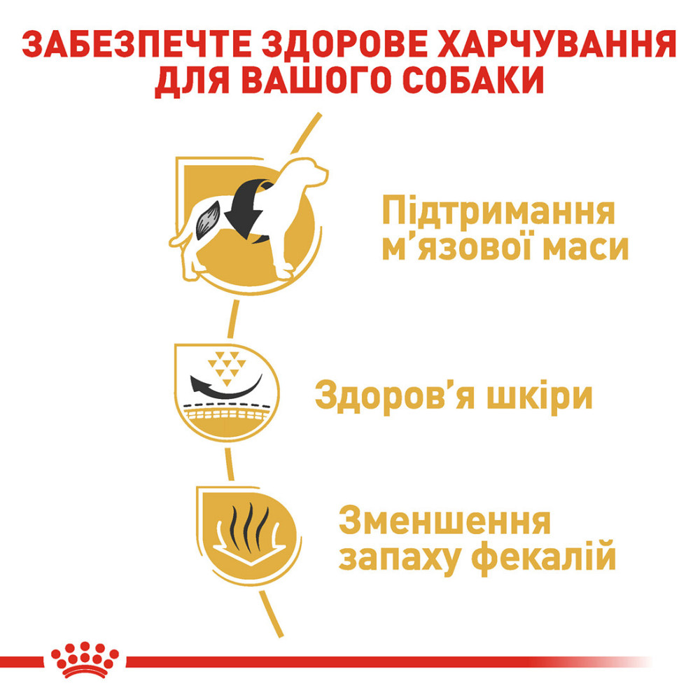 Корм для взрослых собак породы Французский бульдог ROYAL CANIN FRENCH BULLDOG ADULT 3.0 кг Киев - изображение 5