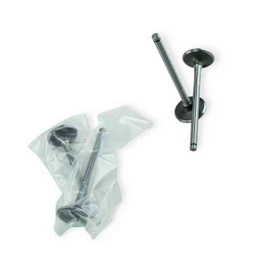 Клапана 1.4-1.6 8кл. выпуск. (4шт) EX-68419 Логан Мукачево