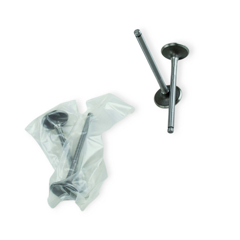 Клапана 1.4-1.6 8кл. выпуск. (4шт) EX-68419 Логан Мукачево - изображение 1