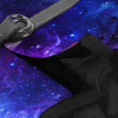 Шлей для собак WAUDOG Clothes с QR-паспортом "NASA21" ХS2 (2902-0148) Винница