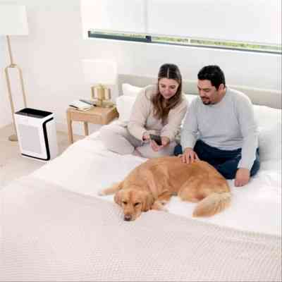 Очисник повітря Levoit Vital 200S Pro Smart True HEPA LAP-V201S-AEUR (HEAPAPLVSEU0145Y) Вінниця