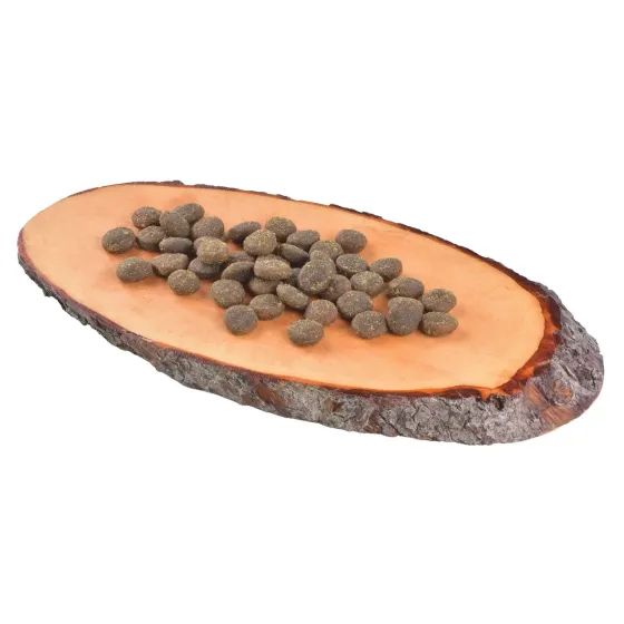 Сухой корм для взрослых собак всех пород Карнилав Carnilove True Fresh с рыбой 1.4 кг Винница