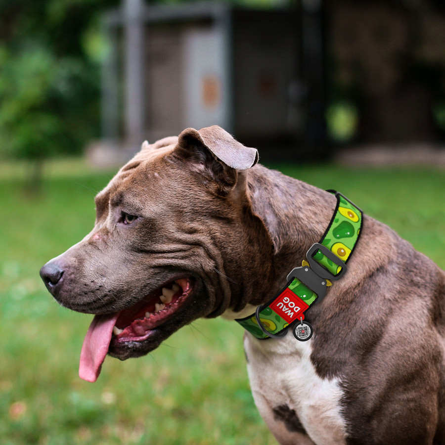 Нашийник для собак нейлоновий WAUDOG Nylon з QR паспортом, малюнок "Авокадо", металева пряжка-фастекс, Вінниця - фото 3