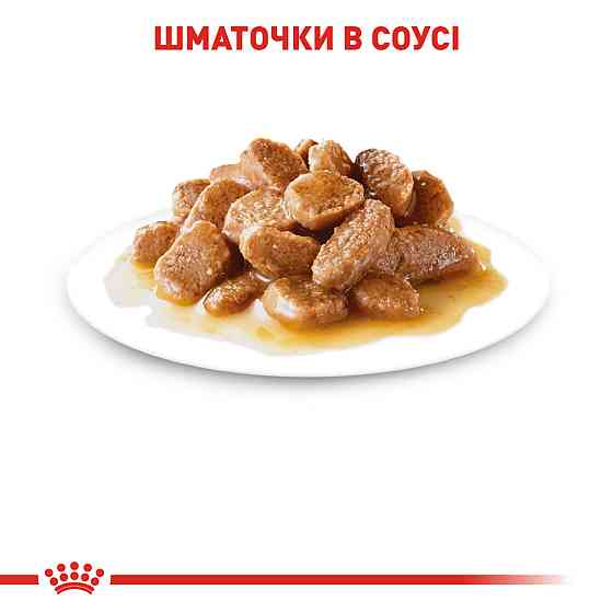 Вологий корм для дорослих собак ROYAL CANIN MINI ADULT IN GRAVY 0.085 кг Київ