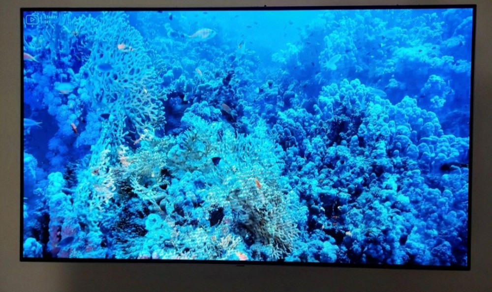 Телевизор: OLED LG 55