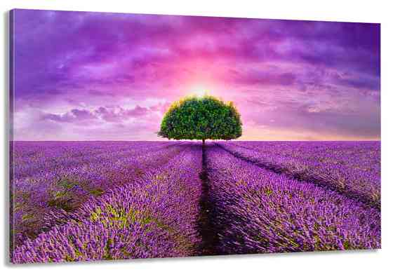 Картина холст в гостиную / спальню  Лаванда   MLP_187 90х180см Киев