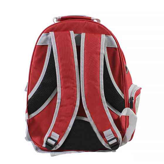 Рюкзак-переноска для кошек Taotaopets 252203 Panoramic 35*25*42cm Red Київ