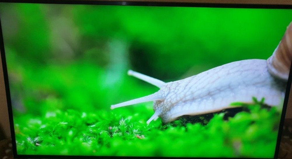 Телевізор Samsung 4K UHD 43" у чудовому стані. Київ - фото 8