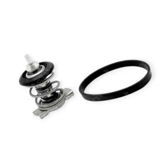 Термостат Doblo, Opel Combo 1.6, 2.0 D Multijet (2010-) Fiat Мукачево