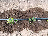 Трубка для крапельного поливу багаторічна 20см.(200м) Evci Харків - фото 5