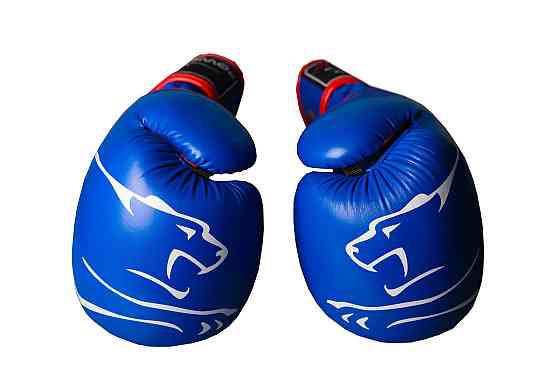 Боксерські рукавиці PowerPlay 3018 Jaguar Сині 14 унцій Луцьк