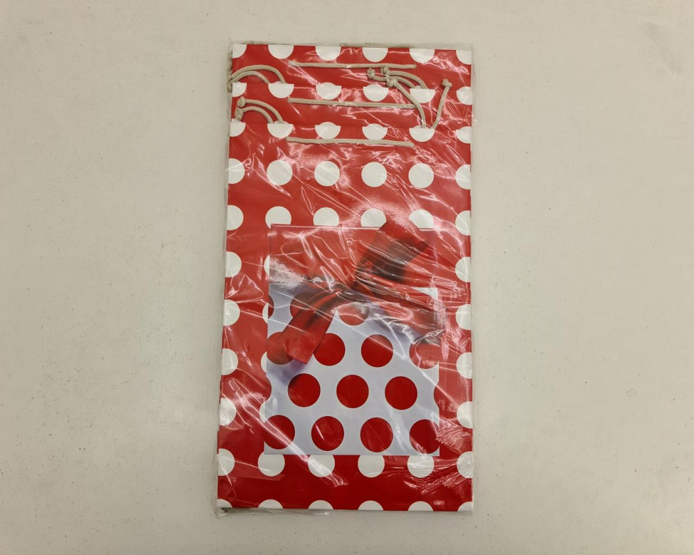 Великий паперовий пакет вертикальний 25/37/8 (артBV-143) (12 шт.) Харків - фото 2