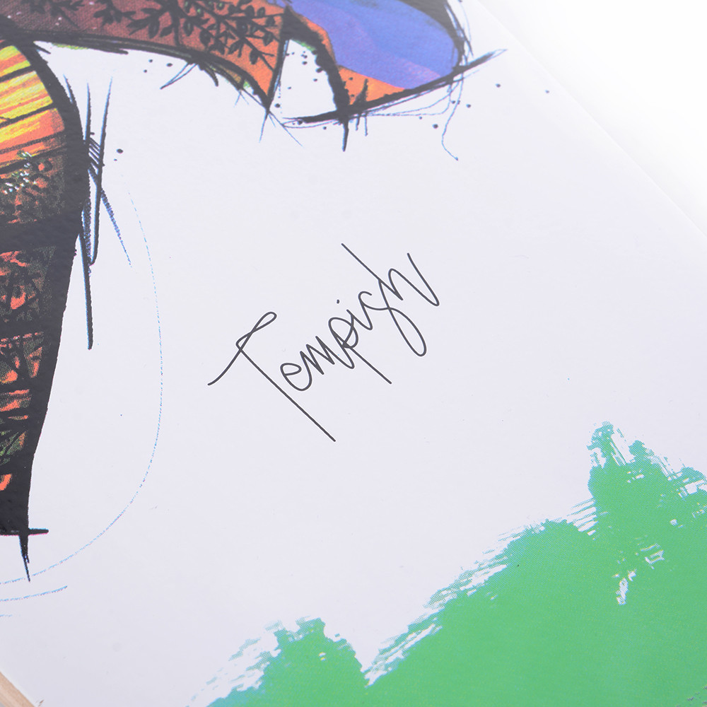 Лонгборд Tempish FISH Київ - фото 9