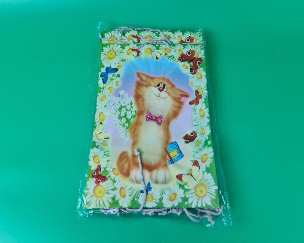 Большой бумажный пакет вертикальный  25/37/8(артBV-041) (12 шт) Харьков - изображение 2