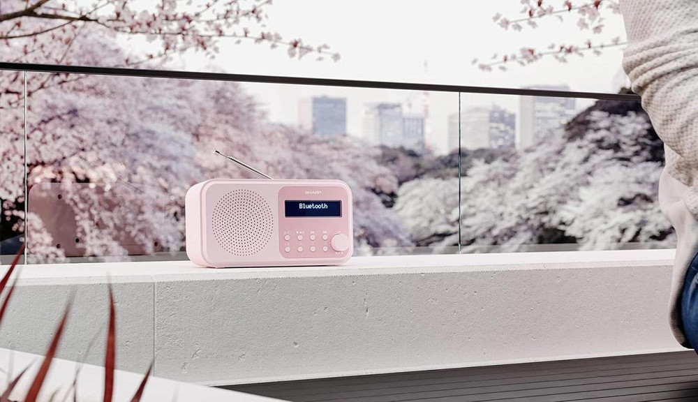 Портативное цифровое радио SHARP с Bluetooth 5.0, DAB+/FM, будильником, USB/батарея, радиоприемник розовый Киев - изображение 3