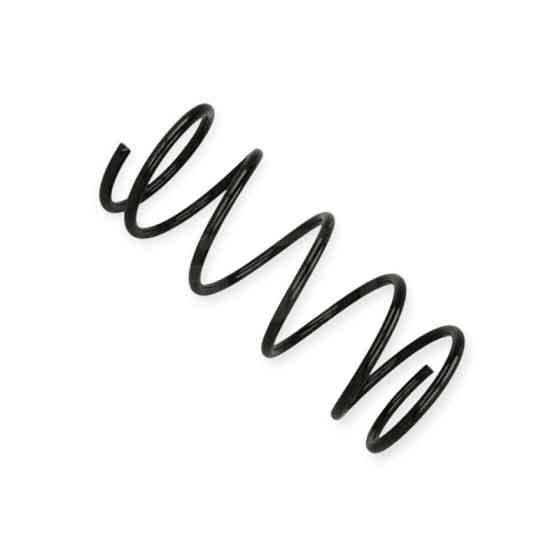 Пружина Ford Focus 1.8D (98-05) Мукачево