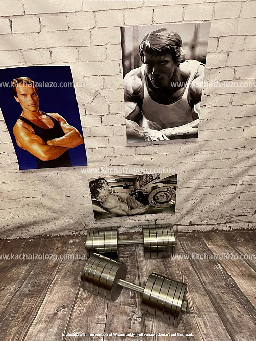 Гантелі набірні 2 по 50 кг Гантелі, гирі, штанги та диски металеві без покриття Київ - фото 2