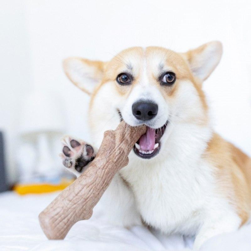 Іграшка для собак Міцна гілка 21 см Petstages Dogwood Stick (Петстеджес Доґвуд Стик) Запоріжжя - фото 3