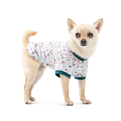 Футболка Pet Fashion Flora для собак бавовна трикотаж біла з квітковим принтом М Київ - фото 3