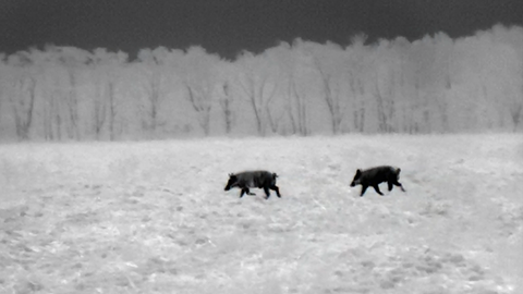 Тепловізор монокуляр ATN ODIN 320, 35mm Thermal Viewer 4-8х Одеса - фото 7