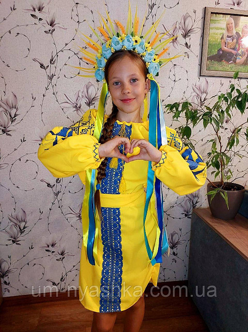 Дитяча вишита сукня з ластівками 104-152 Кривой Рог - изображение 4