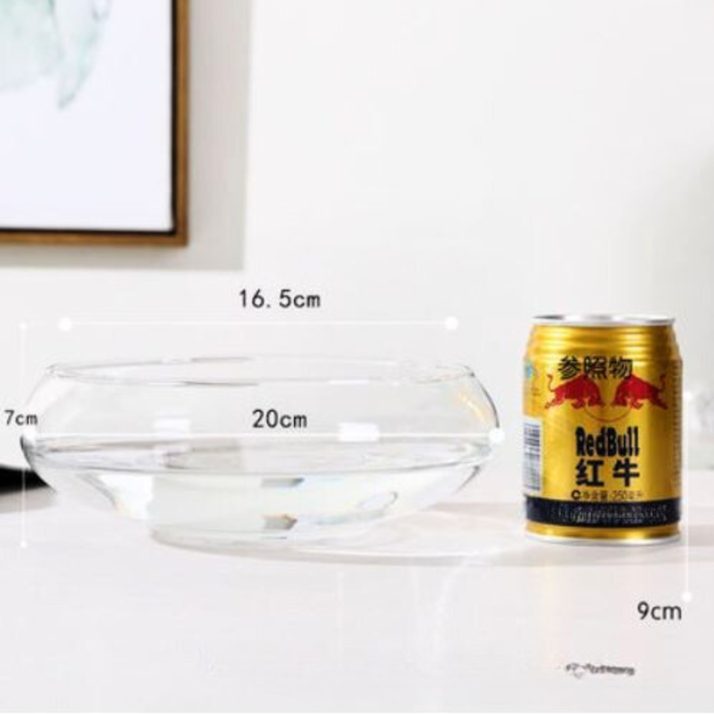 Емкость для флориума диаметр 15 см Чаша для флориума, мосариума, цветочных композиций 200 Одесса - изображение 1