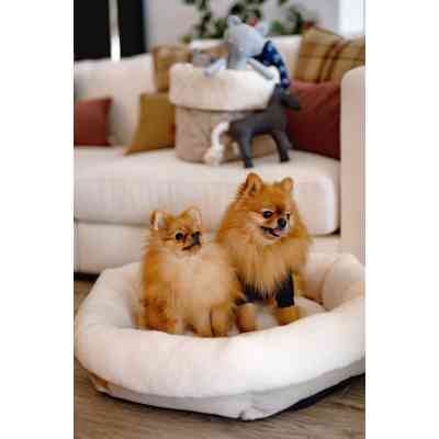 Лежак для животных Chloe's Home Таллинн S бежевый (CLH4142) Винница