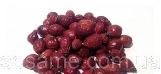 Шиповник плоды 100 грамм Харьков - изображение 1