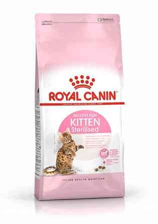Royal Canin Kitten Sterilised (Роял Канин Киттен стерилайзд) сухой корм для котят 2 кг. Запорожье