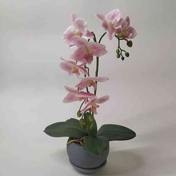 Штучна латексна міні орхідея преміум у сірому керамічному кашпо на дві гілки біло-рожева. Дніпро