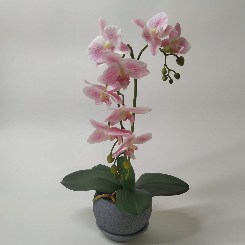 Штучна латексна міні орхідея преміум у сірому керамічному кашпо на дві гілки біло-рожева. Дніпро - фото 1
