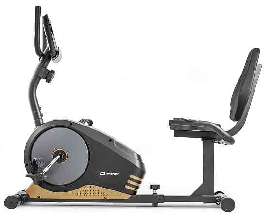 Горизонтальний велотренажер HS-040L Root чорно-золотистий - model 2020 Київ