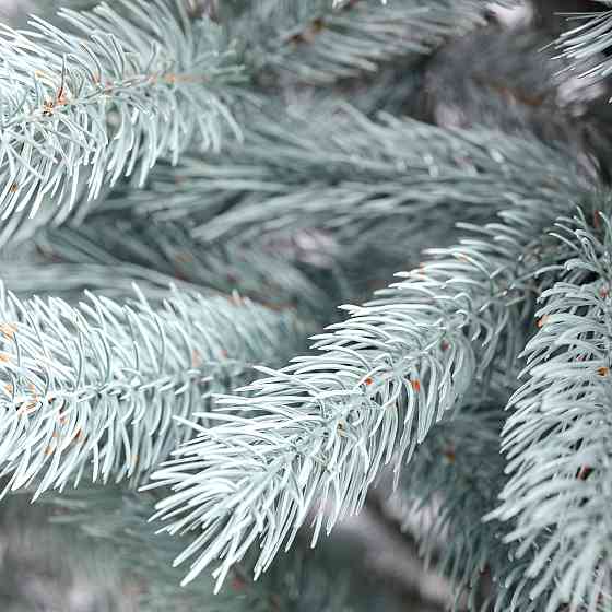 Ялинка штучна 1.8 м Говерла блакитна Київ