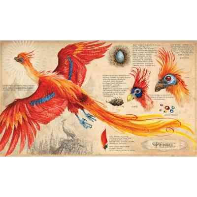 Книга Гаррі Поттер і таємна кімната. Велике ілюстроване видання - Джоан Ролінґ А-ба-ба-га-ла-ма-га (9786175851135) Вінниця