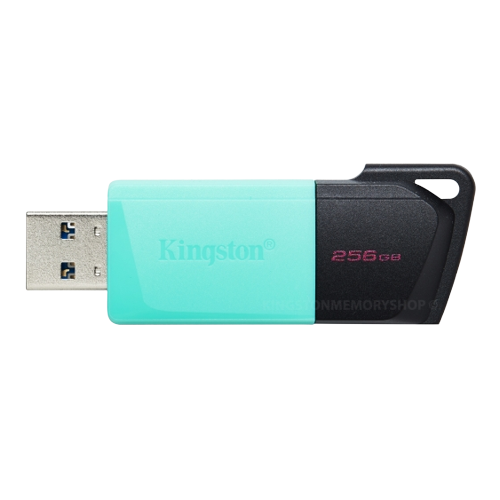 Флешка 256Гб USB 3.2 чорний/бірюзовий DT Exodia M Kingston Житомир - изображение 3