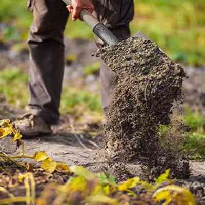 Лопата Werk совкова WS-002 (126155) Вінниця