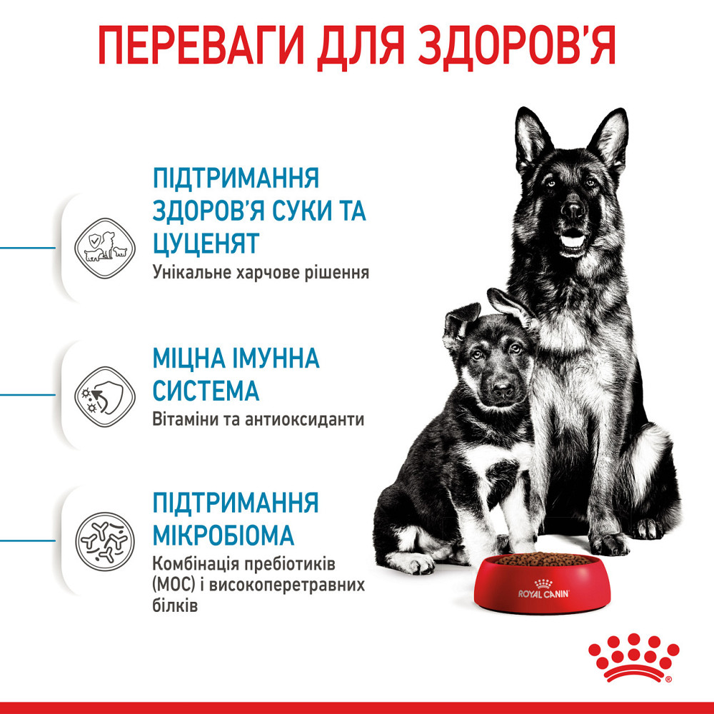 Корм для новорожденных щенков больших пород собак ROYAL CANIN MAXI STARTER 4 кг Киев - изображение 3