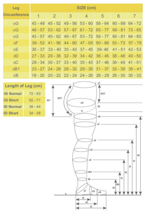 Колготи компресійні від варикозу із закритим носком 2-й клас Orthopoint ERSA-511 антиварикозні колготи Розмір L Кам'янець-Подільський